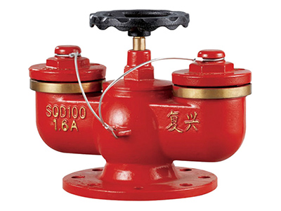 多用式水泵接合器 SQD100-1.6A