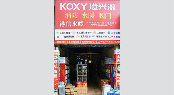 2007年公司筹建